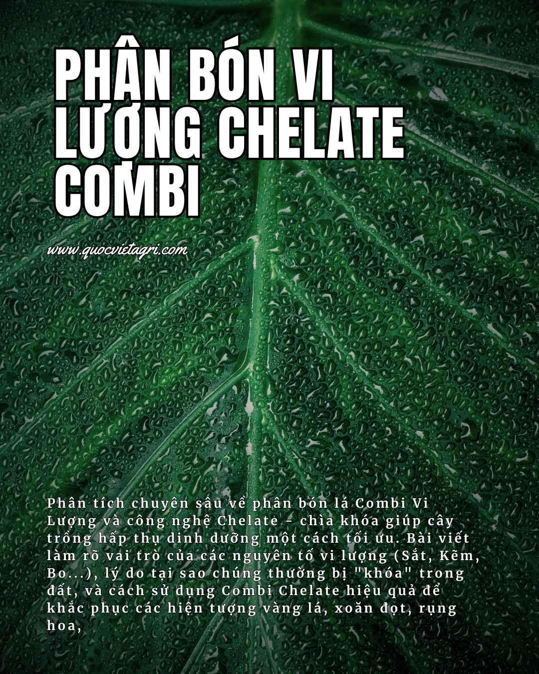 tittle cho bài viết phân tích về phân bón vi lượng combi