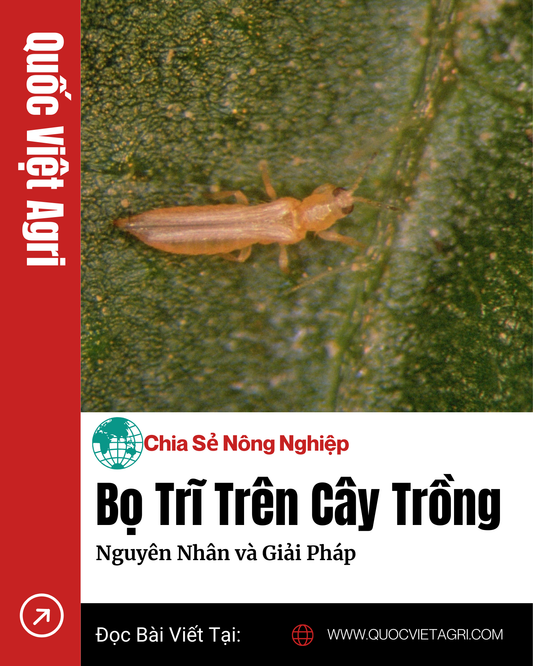 Ảnh bìa chủ đề bọ trĩ trên cây trồng với tiêu đề rõ ràng dùng cho mạng xã hội và ảnh đại diện bài viết.