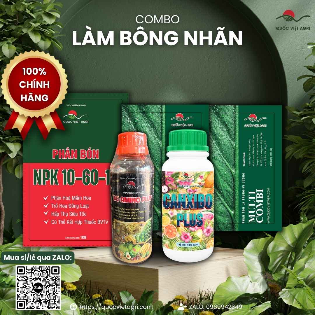 Combo làm bông nhãn gồm NPK 10-60-10, Bo Amino Plus và Canxibo Plus, Quốc Việt Agri