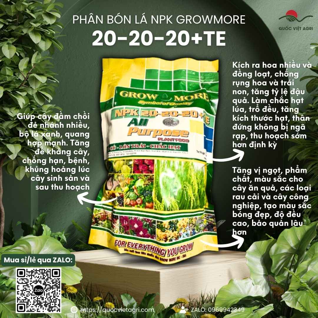 Mặt trước gói phân bón NPK Growmore 20-20-20+TE 1KG, chuyên dùng dưỡng cây, lớn trái, chất lượng theo tiêu chuẩn Mỹ.
