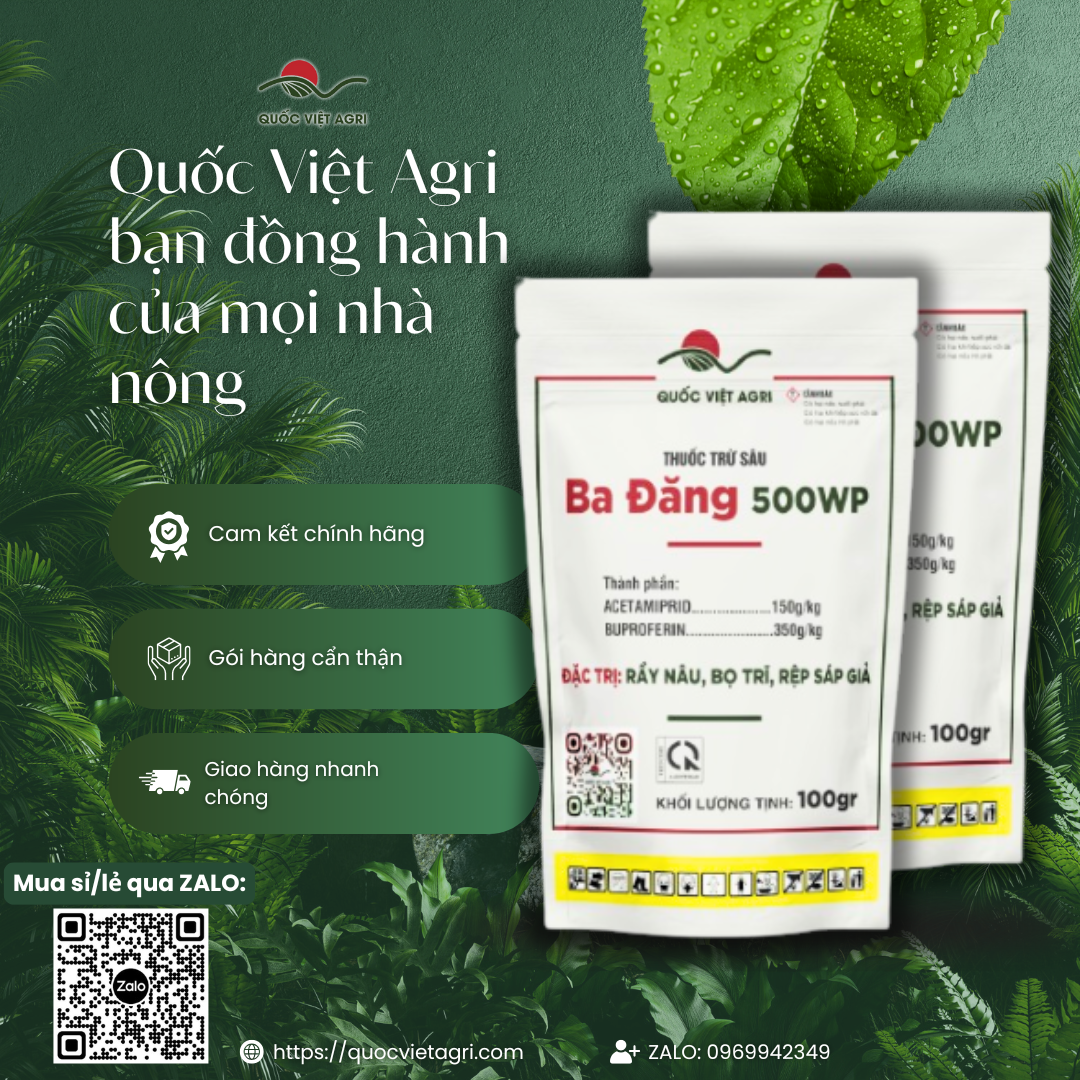 Hai mặt sản phẩm Ba Đăng