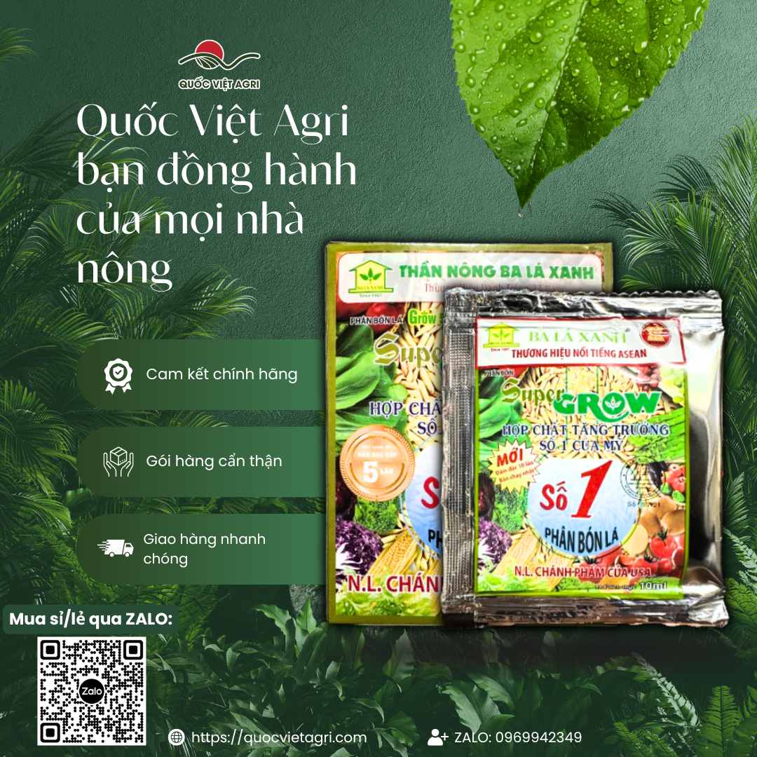 Hình ảnh tổng quan sản phẩm Thần Dược Ba Lá Xanh Số 1, giải pháp dinh dưỡng cao cấp từ Mỹ cho mọi loại cây trồng.