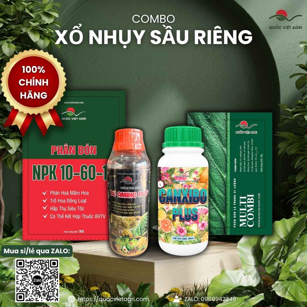 Hình Ảnh Combo sổ nhụy sầu riêng