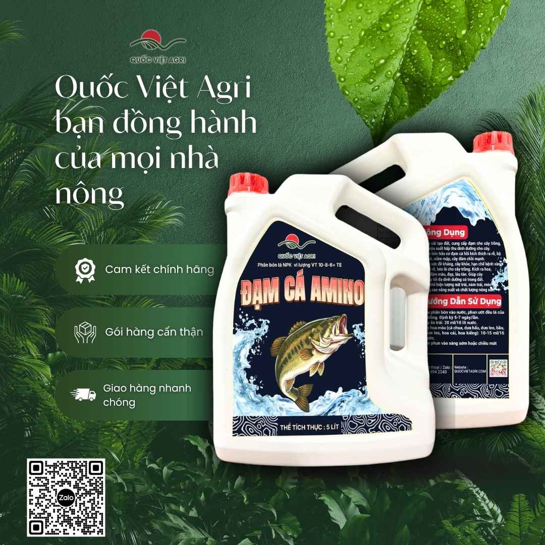 Mặt trước sản phẩm phân bón Đạm Cá Amino, sản phẩm phân phối bởi Quốc Việt Agri.