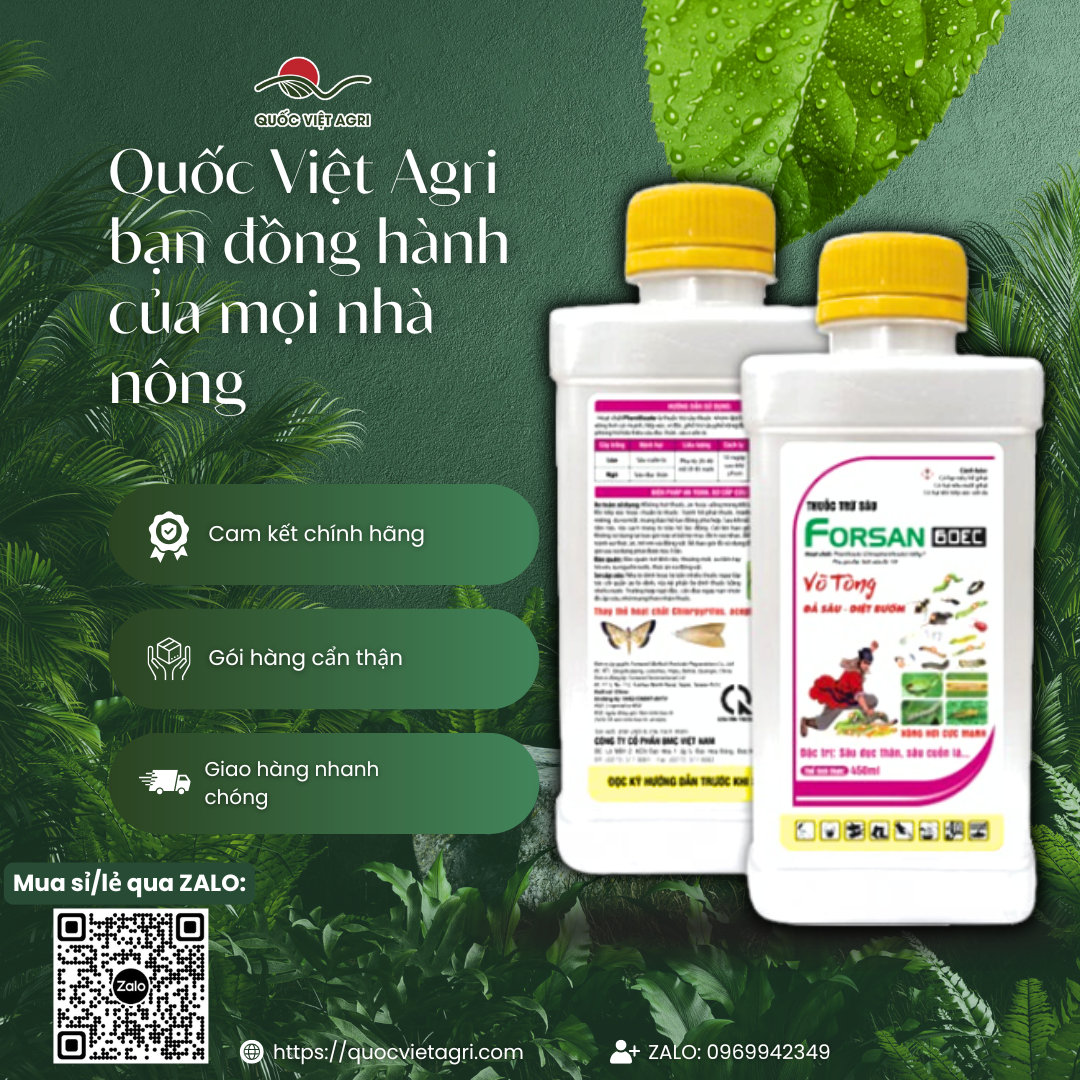 Thuốc trừ sâu FORSAN 60EC (chai 400ml) - Dimephenthoate 600g/l