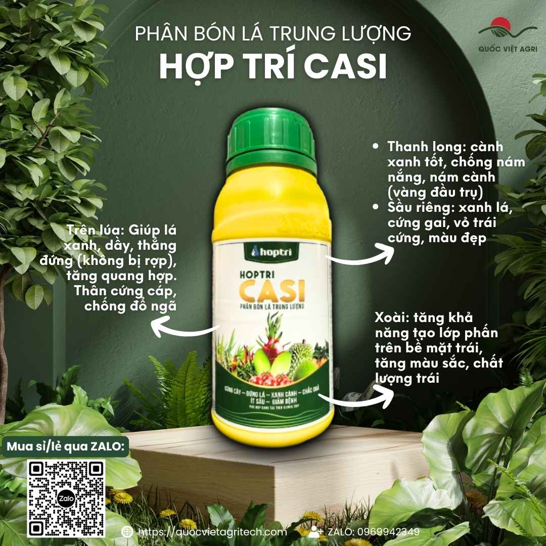 Mặt trước chai phân bón lá HỢP TRÍ CASI 500ml, chứa Canxi và Silic, chuyên cứng cây, chống đổ ngã, chống nứt trái.
