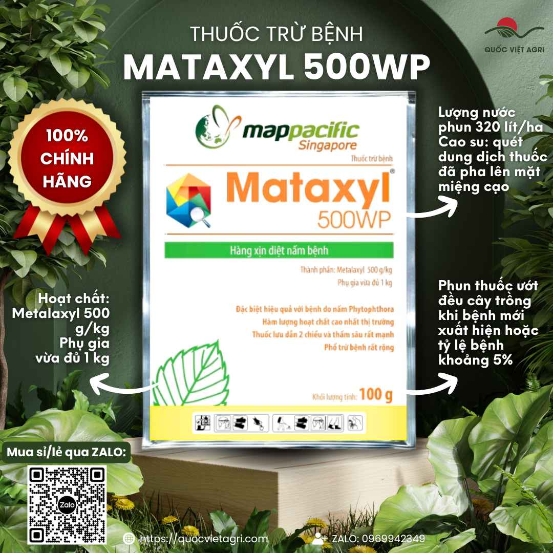 Thuốc Trừ Bệnh MATAXYL 500WP (Gói 100g) - Đặc Trị Chết Nhanh, Thối Rễ, Sương Mai