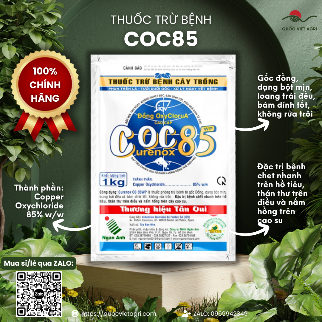 Mặt trước gói thuốc trừ bệnh COC 85 WP (Curenox OC 85WP) 1KG, nhãn hiệu rõ ràng, sản phẩm của Quốc Việt Agri.