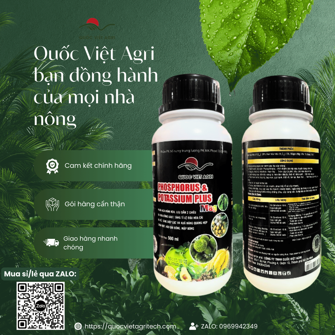 Toàn cảnh hai mặt chai phân bón lá PK PHOS-PHORUS & POTASSIUM PLUS 500ml Lân Hai Chiều, hiển thị đầy đủ thông tin sản phẩm.