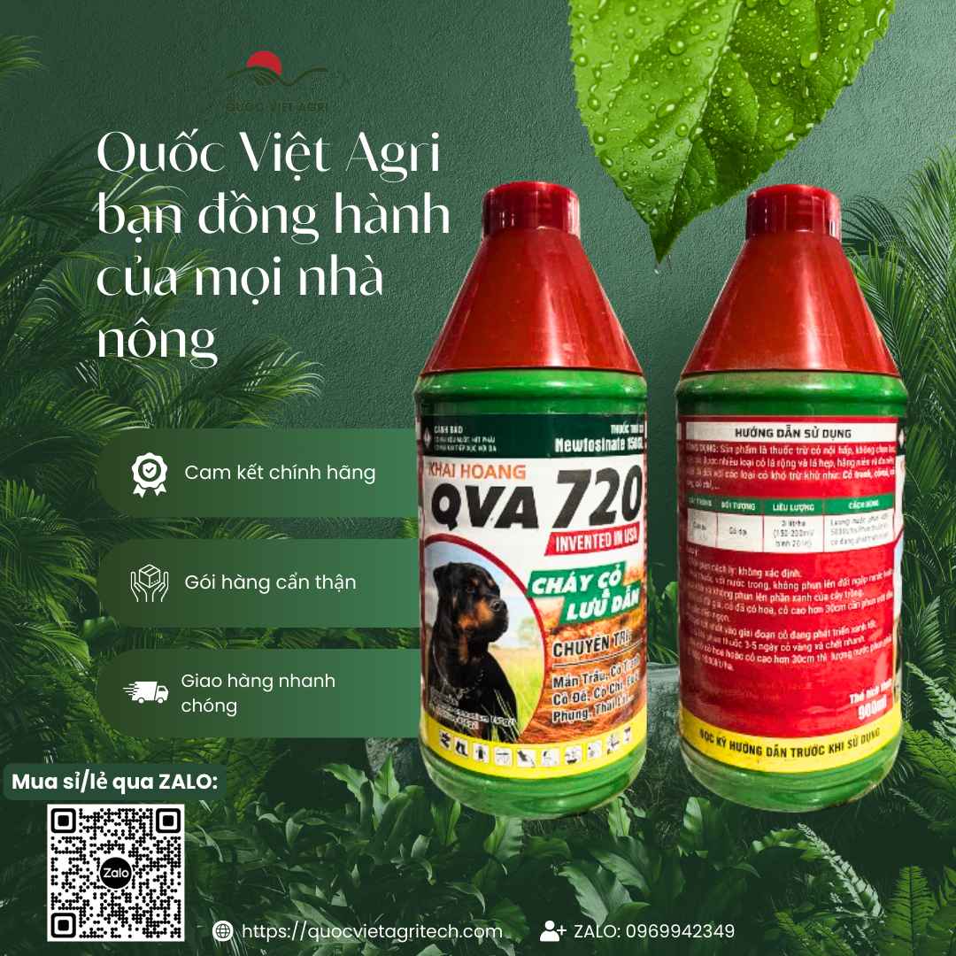 Hình ảnh tổng quan sản phẩm thuốc trừ cỏ Khai Hoang QVA 720 USA 900ml, giải pháp diệt cỏ không chọn lọc cho vườn cao su và đất không trồng trọt từ Quốc Việt Agri.