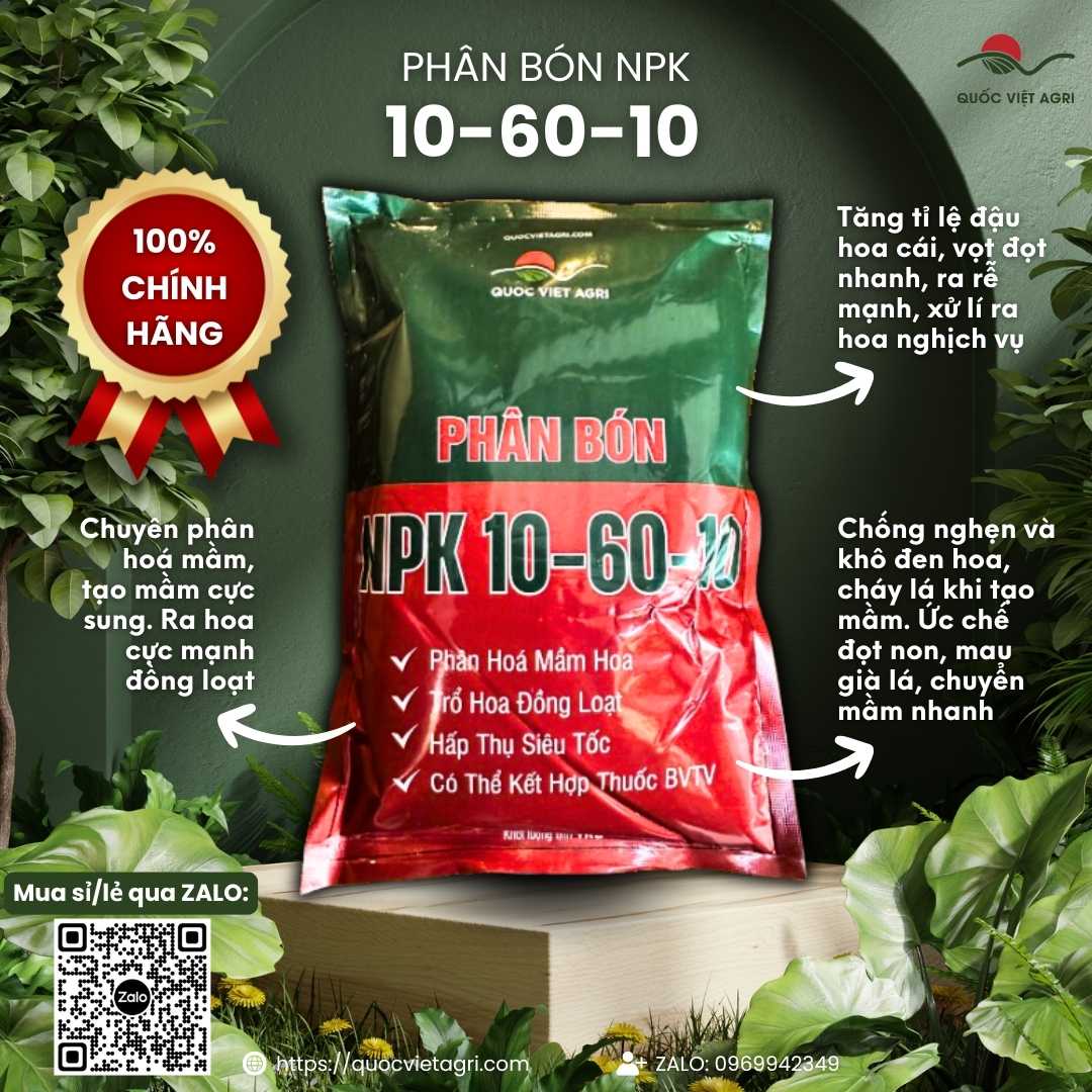 Mặt trước gói phân bón Siêu Tạo Mầm 10-60-10 1KG, chuyên dùng để kích thích ra hoa, chặn đọt, sản phẩm chính hãng của Quốc Việt Agri.