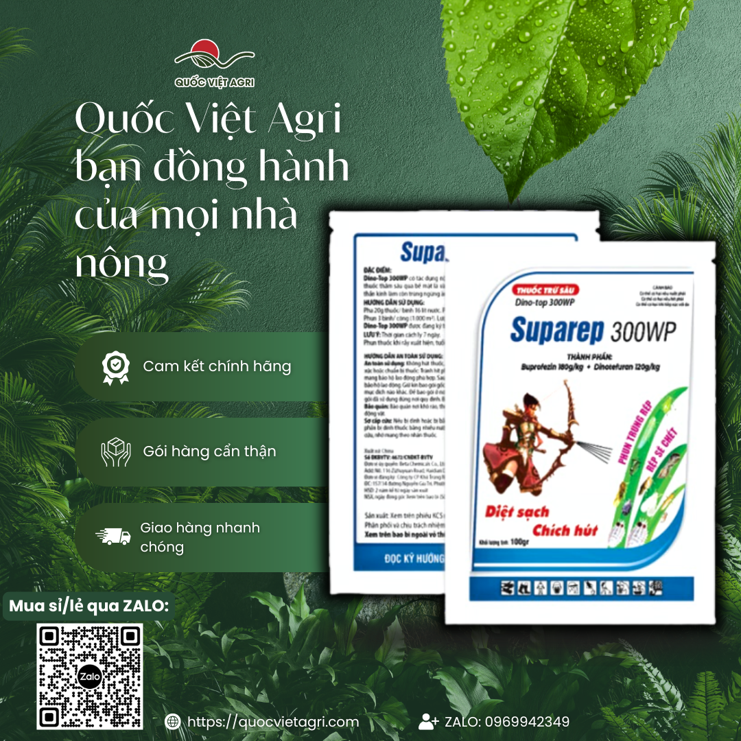 Thuốc trừ sâu SUPAREP 300WP DINO TOP 300WP (gói 100g) - Buprofezin 180g/l + Dinotefuran 120g/l