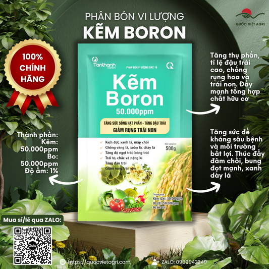 Bao bì phân vi lượng Kẽm Boron 500g – thể hiện rõ thành phần 50.000ppm Zn, B