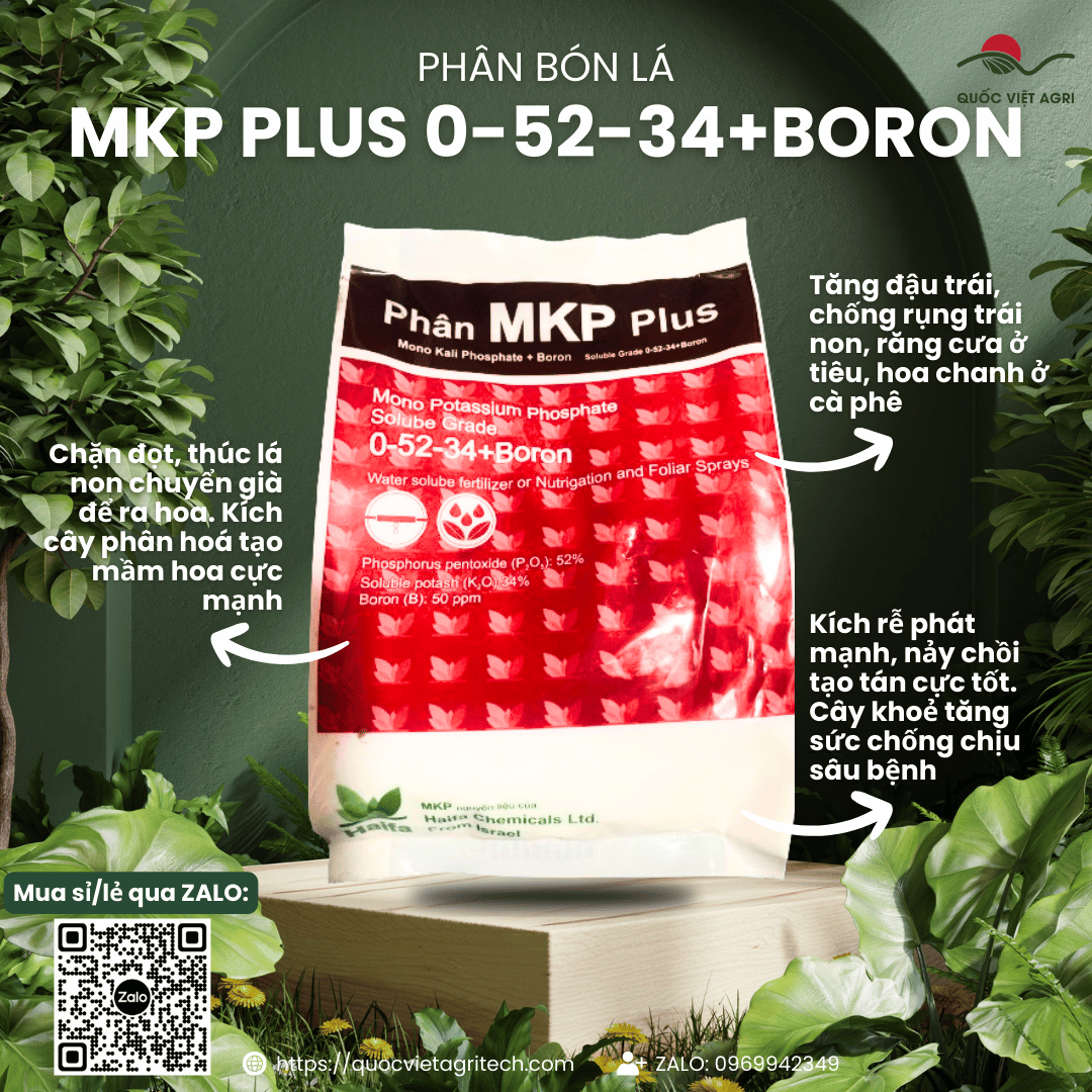 Bao bì phân bón MKP HAIFA PLUS 0-52-34 (1kg) – mặt trước rõ ràng, in xuất xứ Israel.
