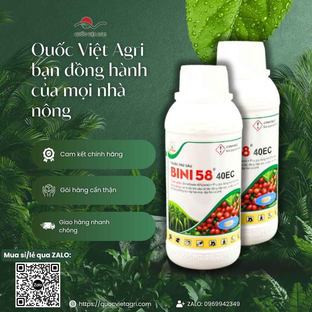 Hai chai thuốc trừ sâu Bini 58 40EC chứa Dimethoate 40% kèm cam kết chính hãng của Quốc Việt Agri.