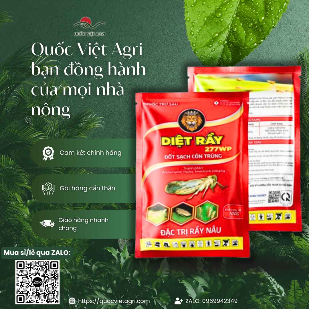 Thuốc Trừ Sâu Diệt Rầy 277WP (100g) - Đặc Trị Rầy Nâu Kháng Thuốc