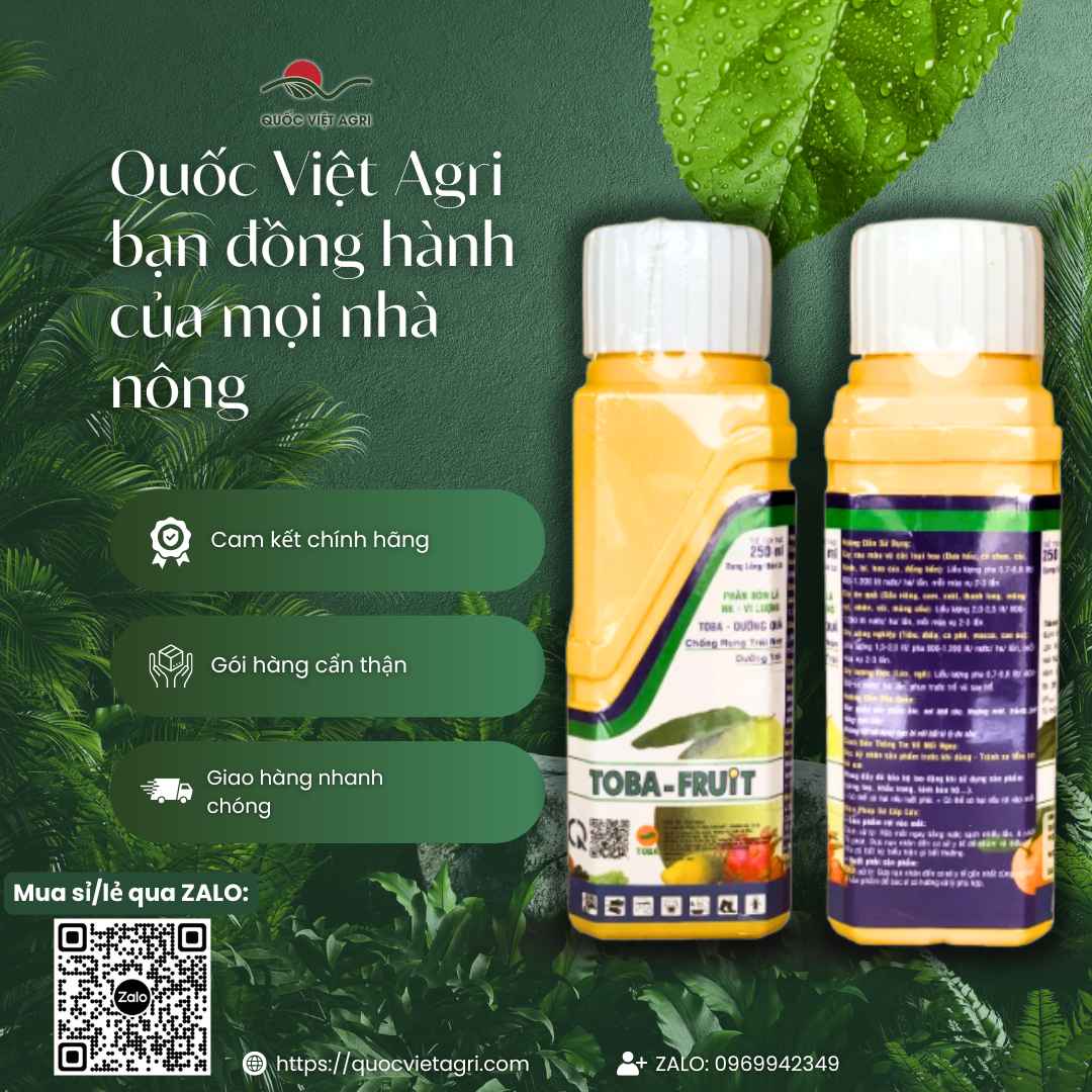 Phân Bón Lá NPK TOBA FRUIT (250ml) | Kali Cao, Giảm Rụng Trái | Quốc Việt Agri