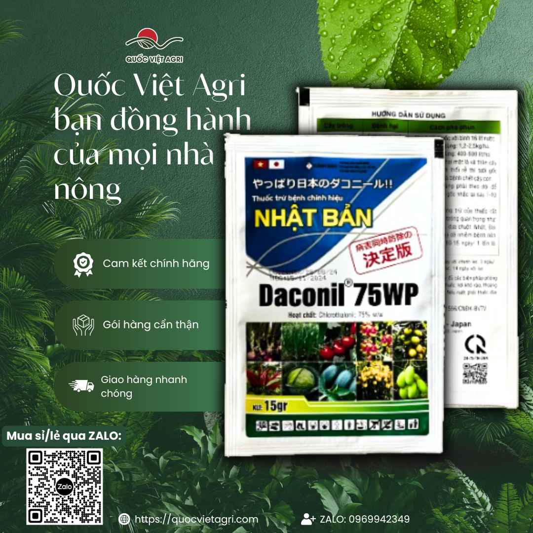 Thuốc Trừ Bệnh DACONIL 75WP (Gói 15g) - Trị Phấn Trắng, Thán Thư, Sương Mai - Quốc Việt Agri