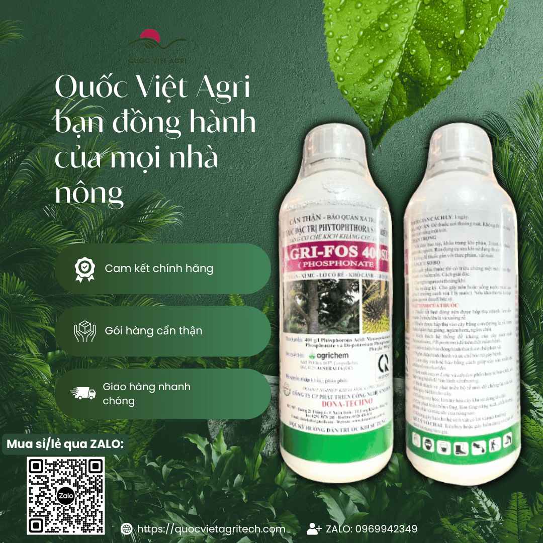 Thuốc Trừ Bệnh AGRIFOS 400SL (1L) – Phosphorous Acid 400g/L – Sầu Riêng