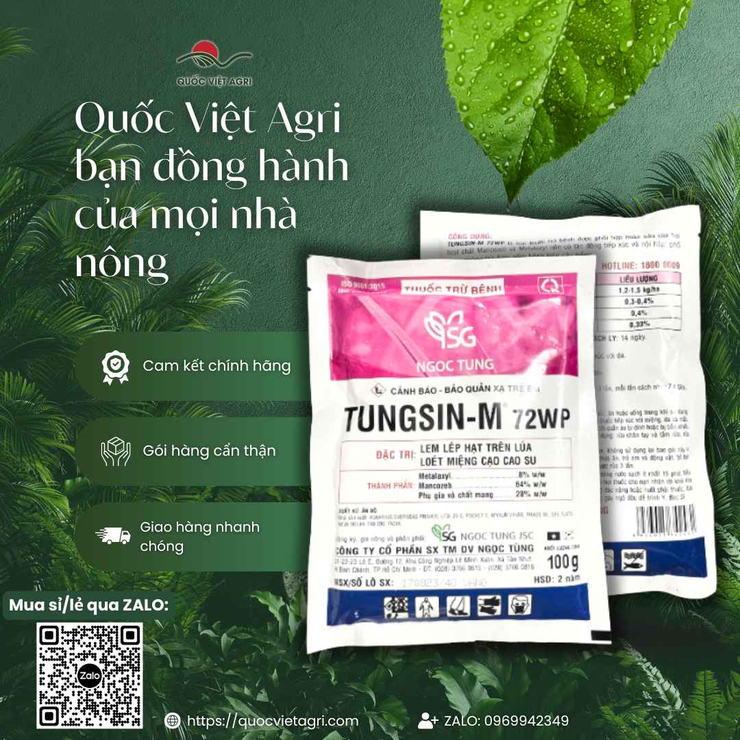 Thuốc Trừ Nấm TUNGSIN-M 72WP (Gói 100g) – Trừ Nấm Metalaxyl + Mancozeb, Trị Lem Lép Hạt, Loét Miệng Cạo – Quốc Việt Agri