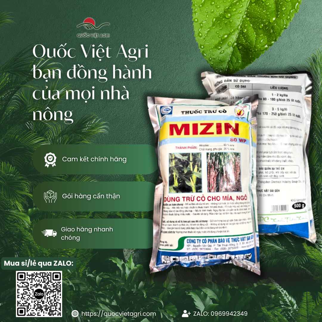 Thuốc Trừ Cỏ MIZIN 80WP (500g) – Thuốc Cỏ Mầm Cho Bắp, Mía – Diệt Cỏ Lá Rộng, Lá Hẹp