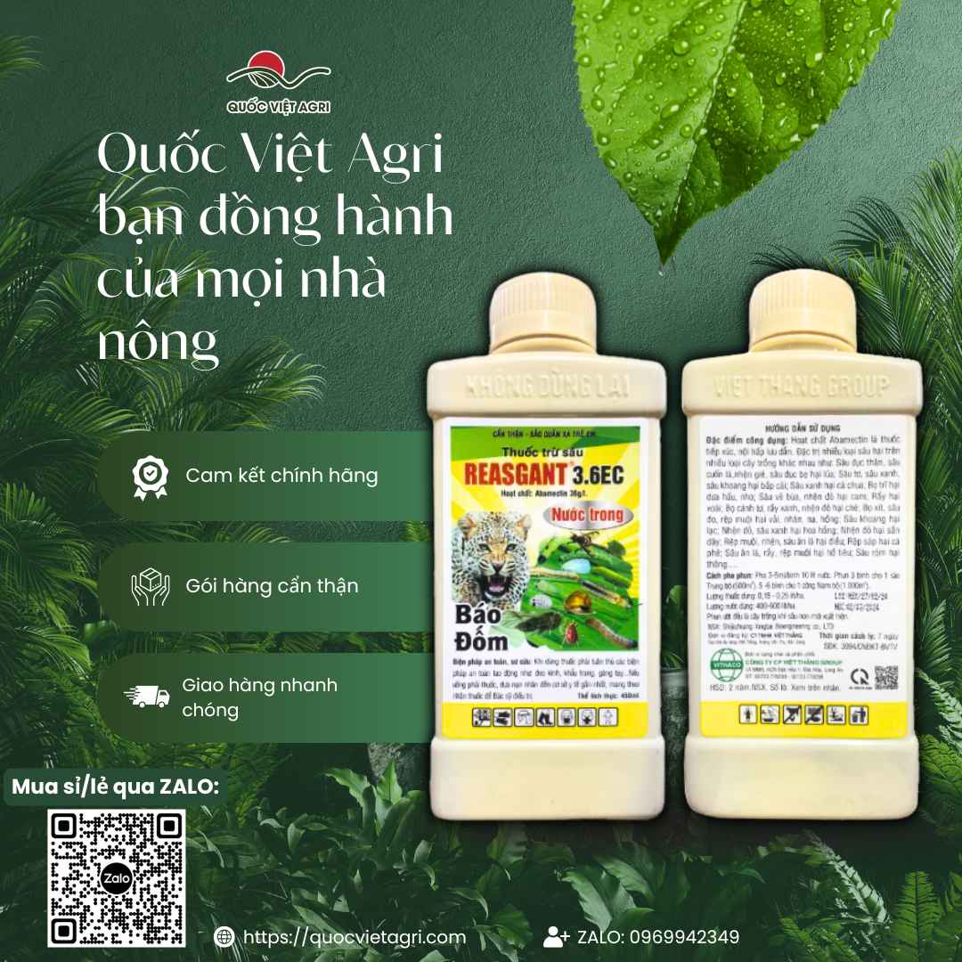 Thuốc Trừ Sâu REASGANT 3.6EC (Chai 450ml, Nước Trong) – Trừ Sâu Sinh Học Abamectin, Phổ Rộng – Quốc Việt Agri