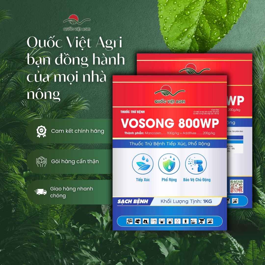 Thuốc Trừ Bệnh MANCOZEB MAN XANH (1kg) | VOSONG 800WP Trị Sương Mai, Thán Thư