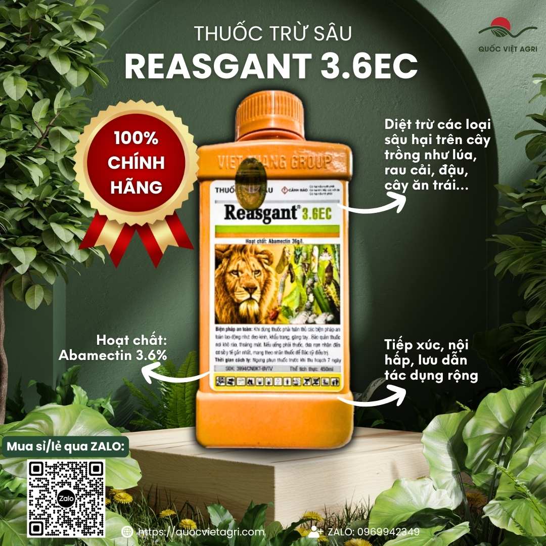 Mặt trước chai thuốc trừ sâu sinh học Reasgant 3.6EC 450ml, chuyên dùng để đặc trị nhện đỏ, sâu cuốn lá, sản phẩm chính hãng của Quốc Việt Agri.