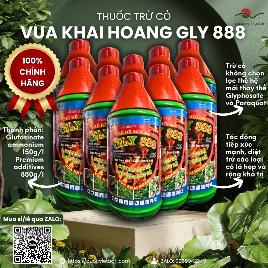 Hình ảnh combo 10 chai thuốc trừ cỏ Vua Khai Hoang GLY 888 900ml, giải pháp tiết kiệm cho nhà nông chuyên nghiệp.