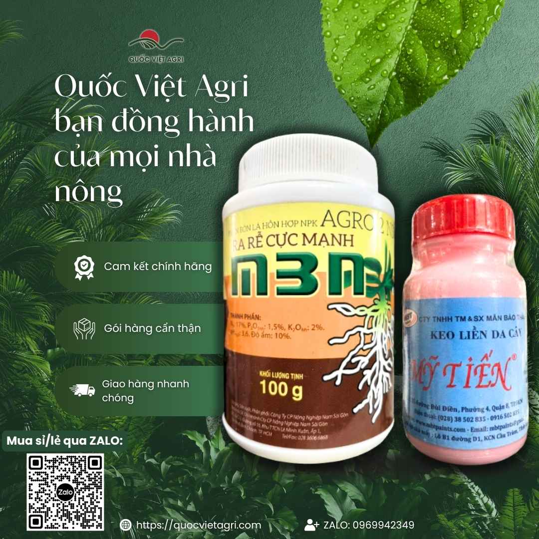 Ảnh toàn diện combo Keo Liền Da Cây Mỹ Tiến và Bột Kích Rễ Cực Mạnh 100g, chuyên dùng để giâm chiết cành, sản phẩm chính hãng.