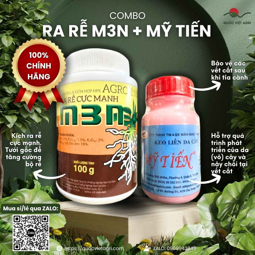 Hình ảnh combo Keo Liền Da Cây Mỹ Tiến và Bột Kích Rễ Cực Mạnh 100g, chuyên dùng để giâm chiết cành, sản phẩm chính hãng.