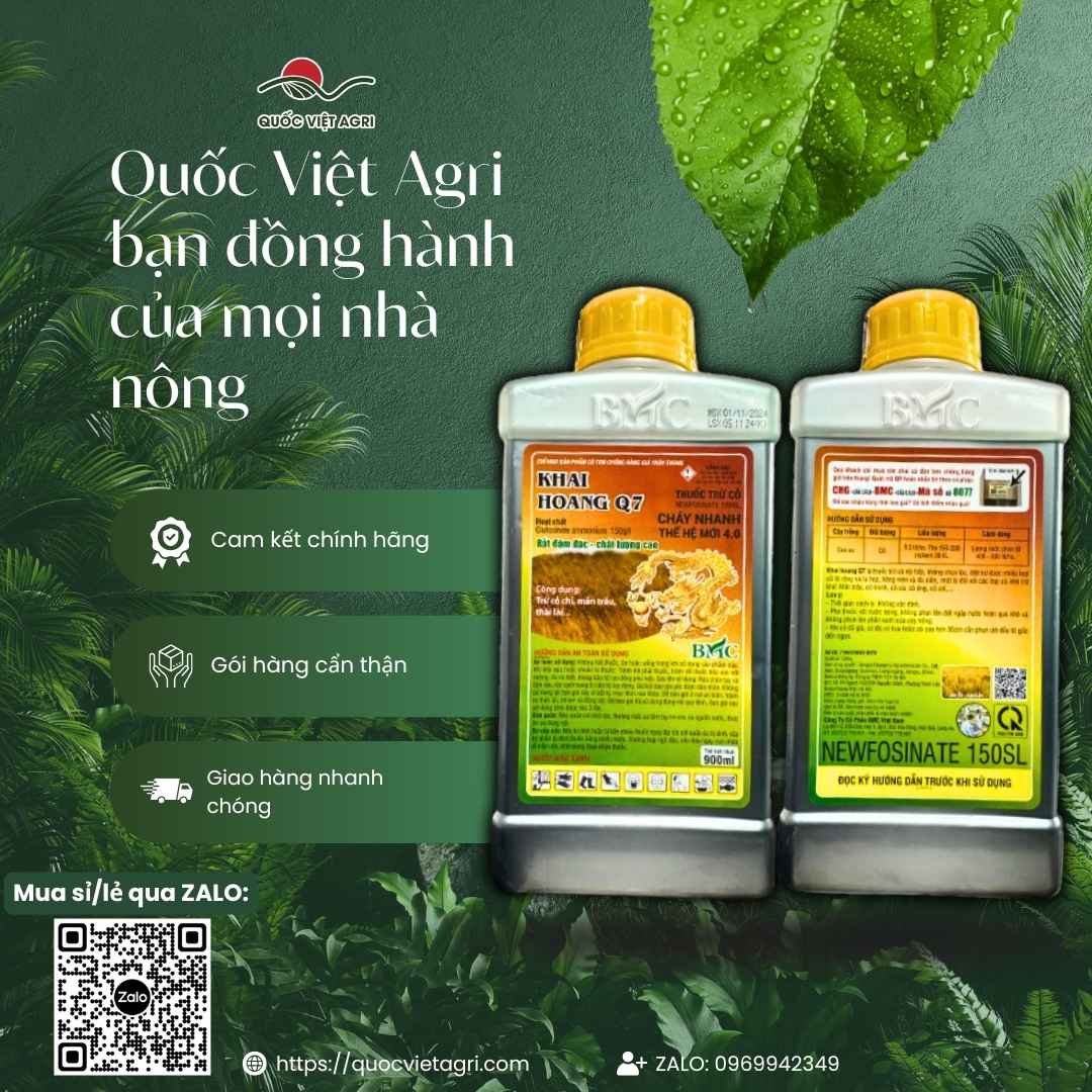 Ảnh 2 mặt chai thuốc trừ cỏ Khai Hoang Q7 150SL 900ml, chuyên dùng để diệt cỏ khai hoang, cỏ tranh, sản phẩm công nghệ 4.0.