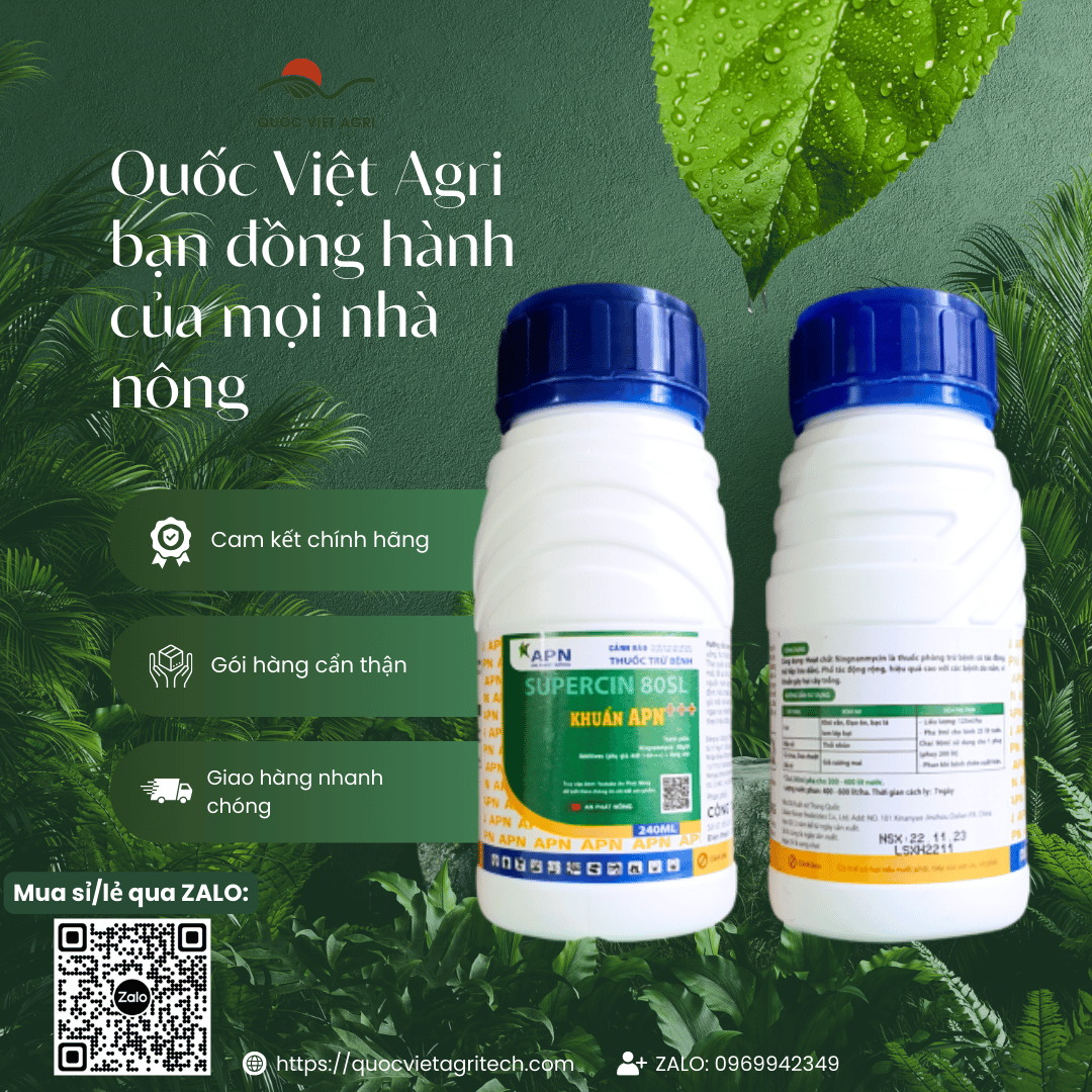 Ảnh quảng cáo thuốc trừ bệnh Khuẩn APN+++ Supercin 80SL của Quốc Việt Agri