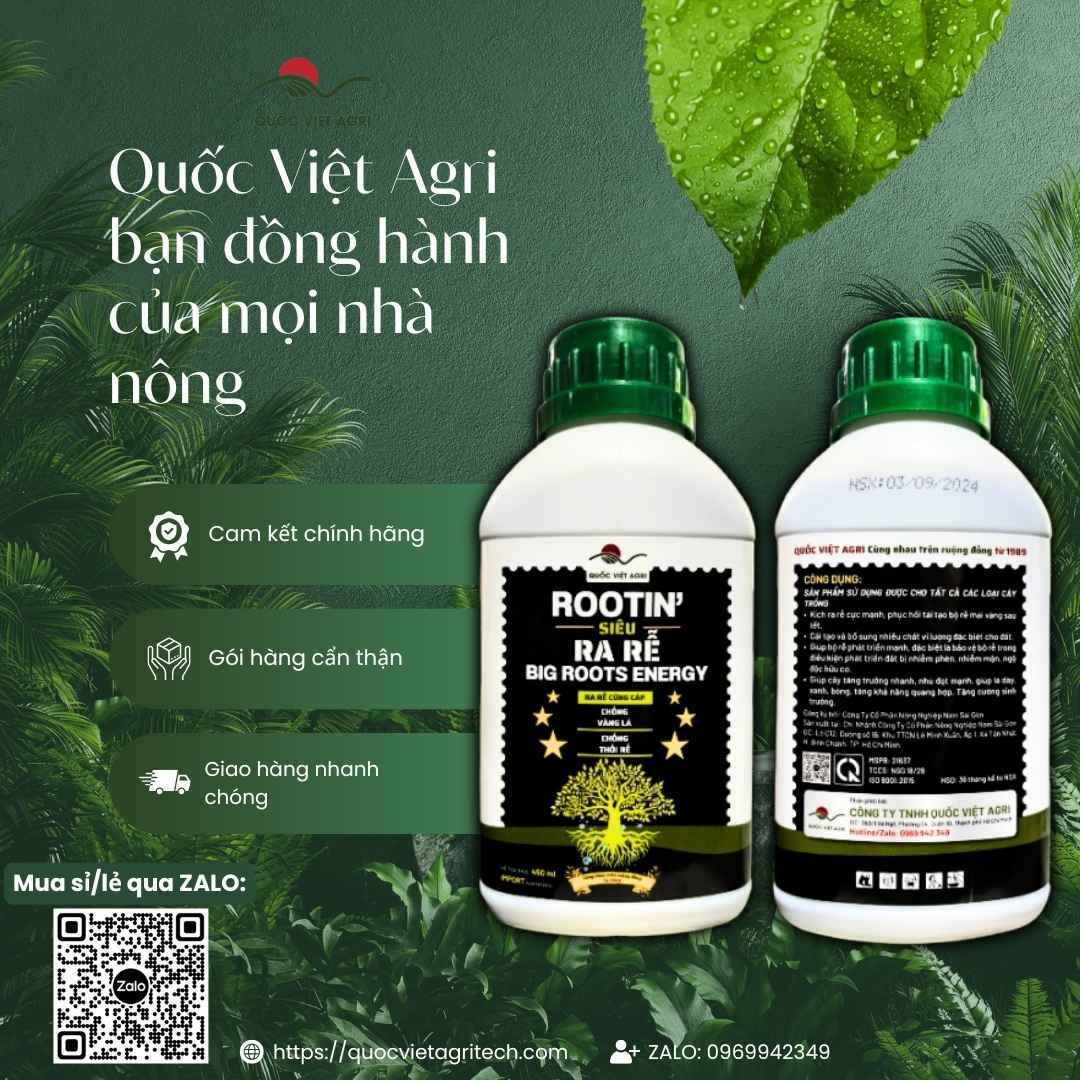 Ảnh toàn diện chai phân bón kích rễ Rootin 450ml, chuyên dùng để phục hồi cây, chống vàng lá, sản phẩm chính hãng của Quốc Việt Agri.