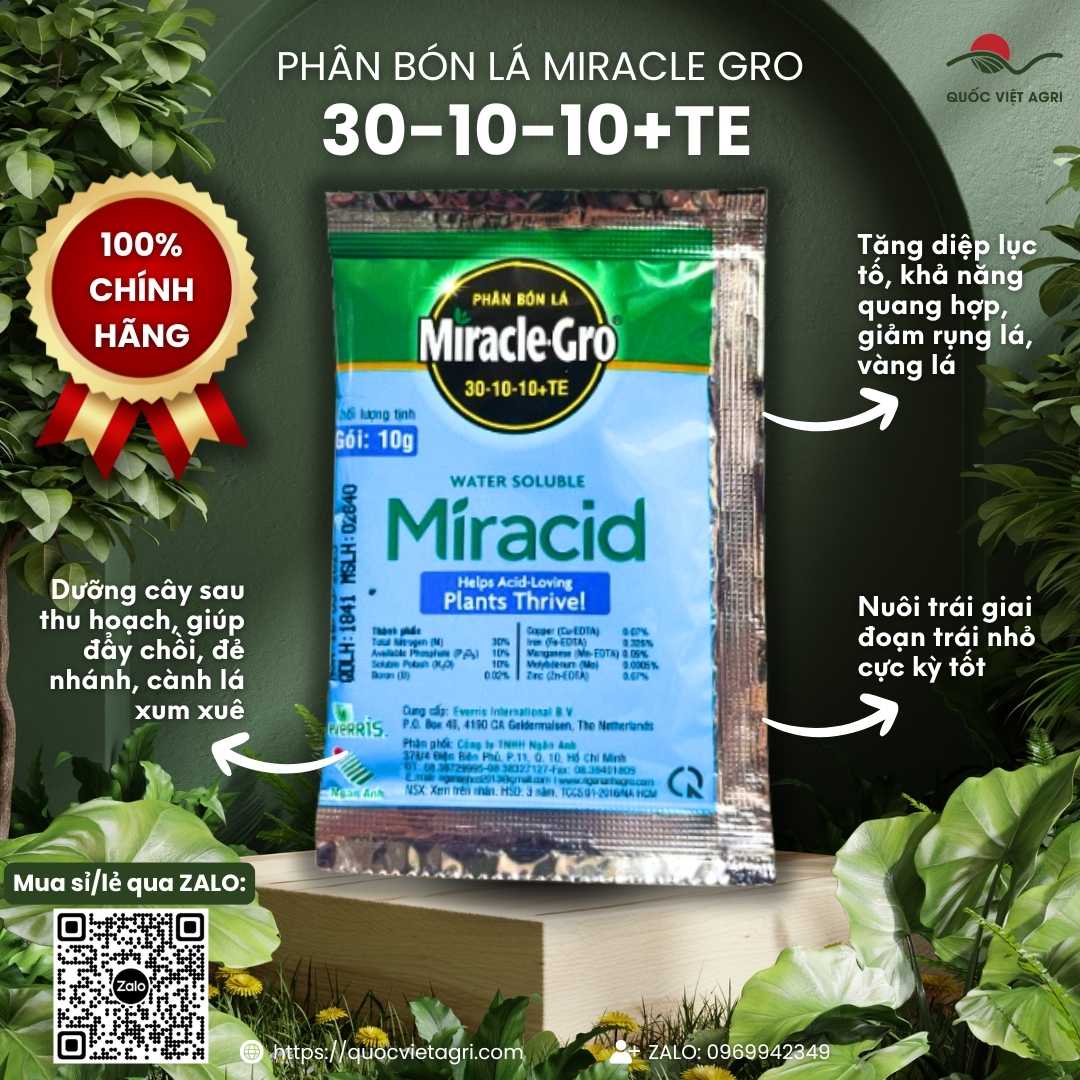 Mặt trước gói phân bón Miracle-Gro 30-10-10+TE (Miracid) 10g, chứa NPK 30-10-10 và vi lượng chelate, chuyên bung đọt, xanh lá.