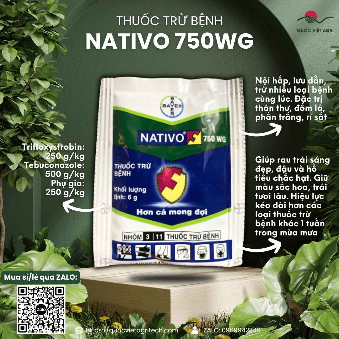 Mặt trước gói thuốc trừ bệnh NATIVO 750WG 6g, đặc trị thán thư, đốm lá, phấn trắng, rỉ sắt.