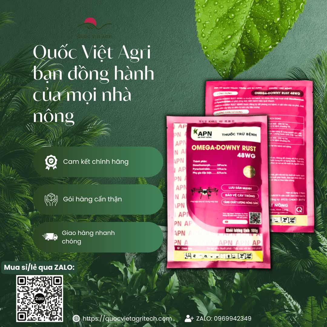 Thuốc trừ bệnh OMEGA DOWNY RUST 48WG (gói 100g) - Chính hãng An Phát Nông phòng rỉ sắt trên cây trồng