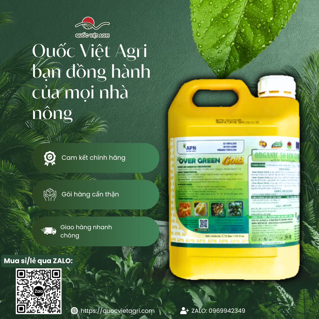 Mặt sau can phân bón hữu cơ OVER GREEN GOLD 5 Lít, hiển thị rõ thông tin thành phần (Hữu cơ 50%) và hướng dẫn sử dụng chi tiết.