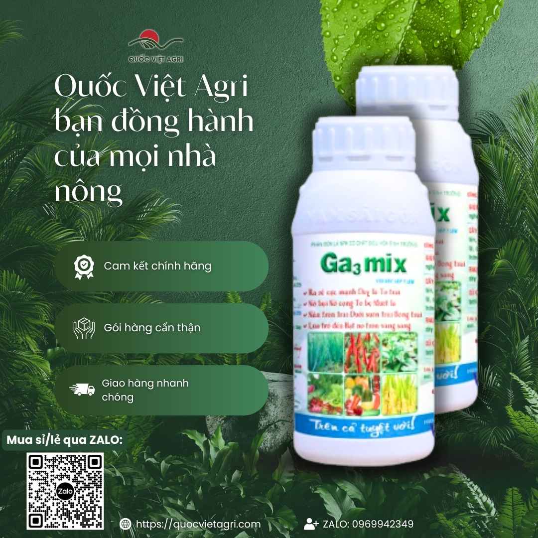 Ảnh toàn diện chai phân bón lá GA3 Mix 500ml, chuyên dùng để kích thích sinh trưởng, bung đọt, sản phẩm chính hãng.