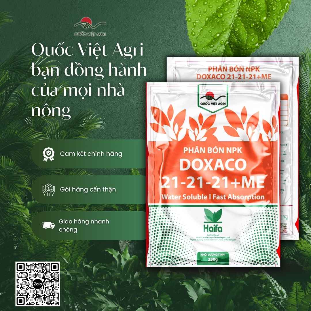 Ảnh toàn diện kèm bảng thành phần cân đối 21-21-21 và vi lượng mặt sau gói NPK Doxaco.