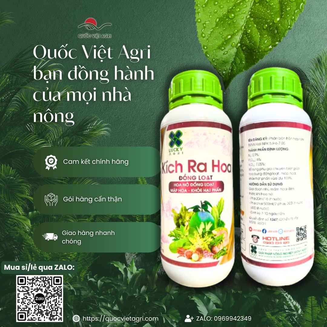 Ảnh toàn diện chai phân bón lá Kích Ra Hoa Đồng Loạt 500ml, chuyên dùng để dưỡng hoa, mập bông, sản phẩm chính hãng của Quốc Việt Agri.