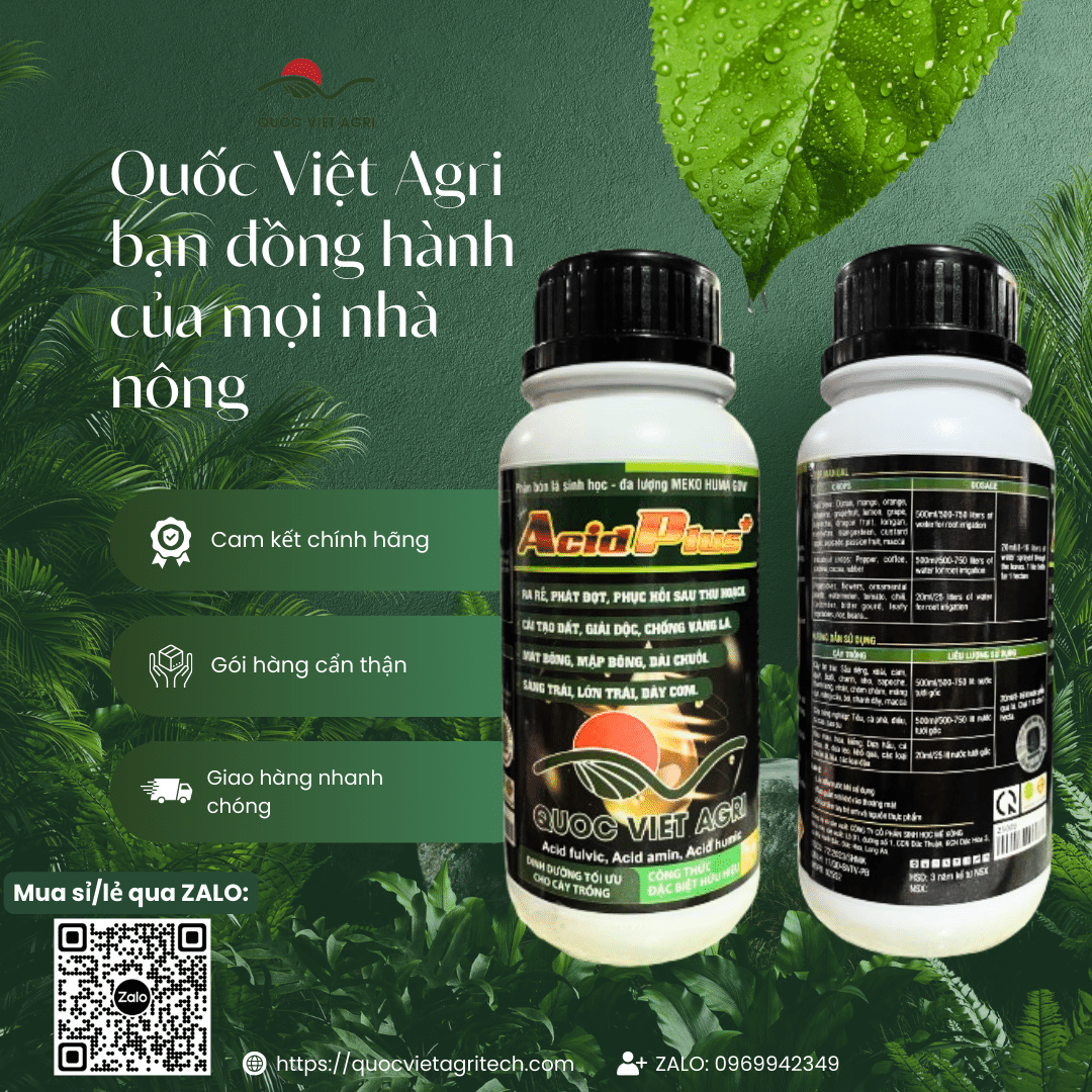 Bảng thành phần Humic, Fulvic, Amino Acid mặt sau chai Acid Plus+.