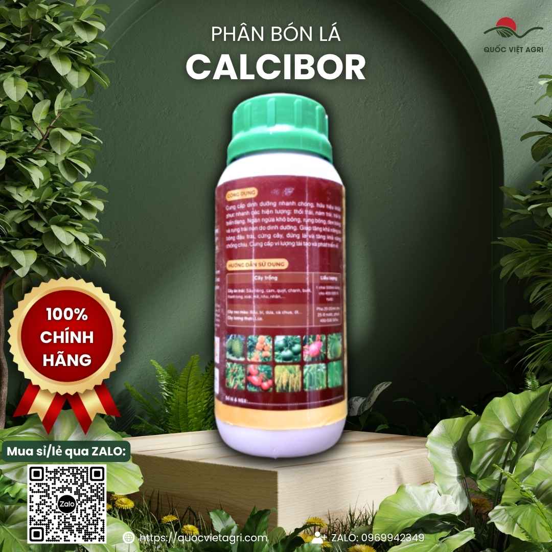 Thành phần Bo 2500ppm mặt sau chai Calcibor chống rụng trái non.