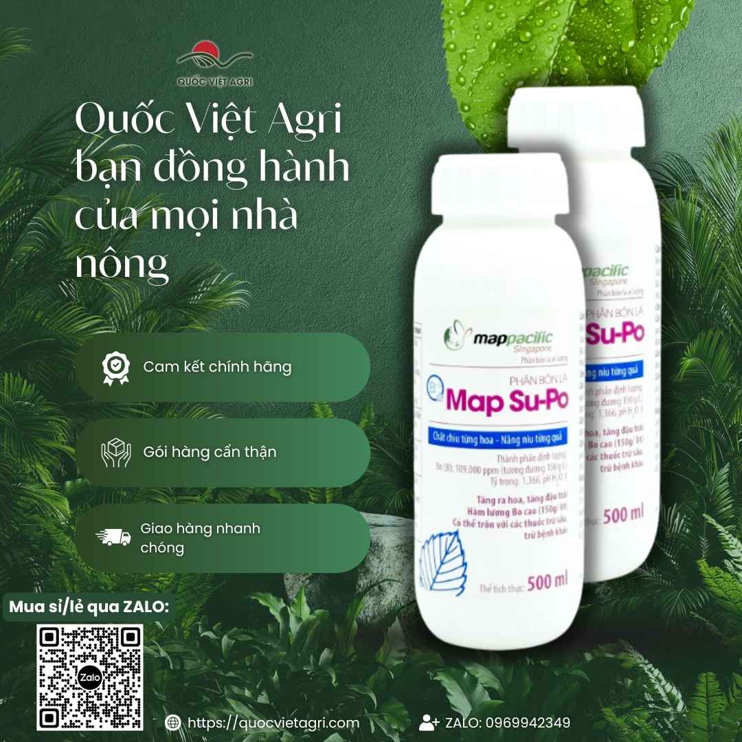 Hình ảnh tổng quan sản phẩm phân bón lá Map Supo 500ml, giải pháp tăng đậu trái cho xoài, sầu riêng, cây có múi từ Quốc Việt Agri.