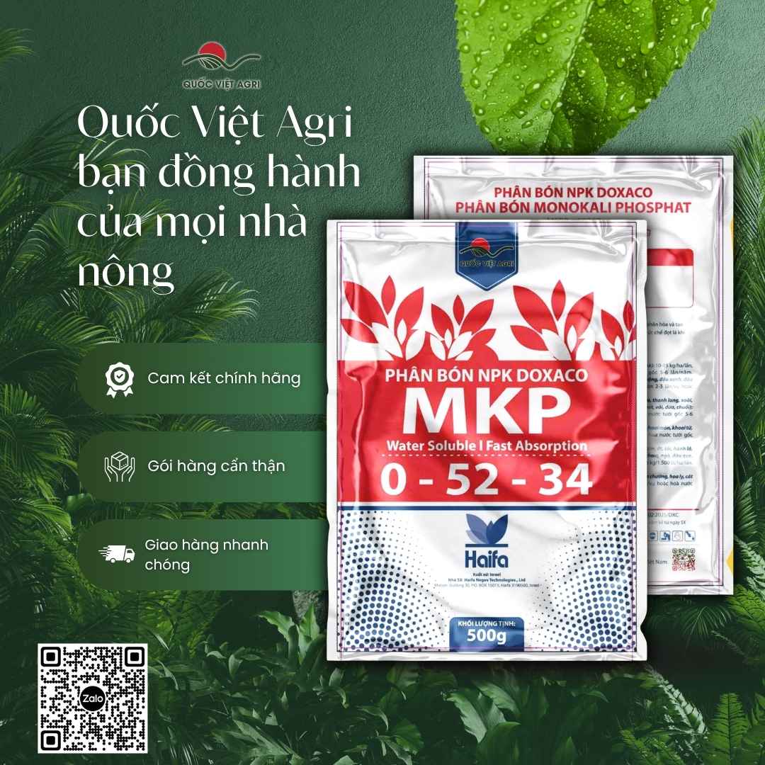 Bảng thành phần Lân 52% và Kali 34% mặt sau bao bì MKP Doxaco.