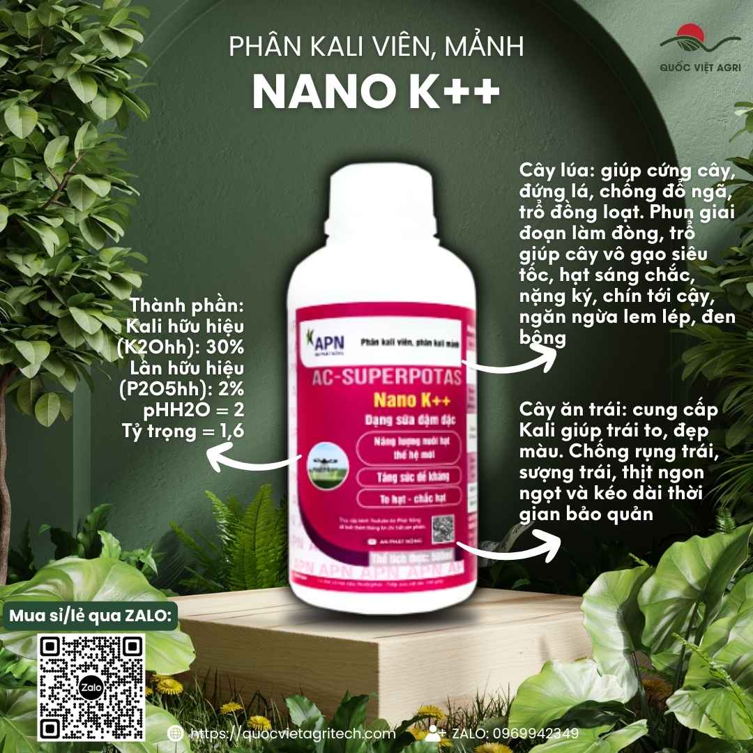 Mặt trước chai Phân Bón NANO K++ 500ml, chứa Kali 26.67%, Lân 3.33%, chuyên vô gạo siêu tốc, cứng cây, nặng ký.