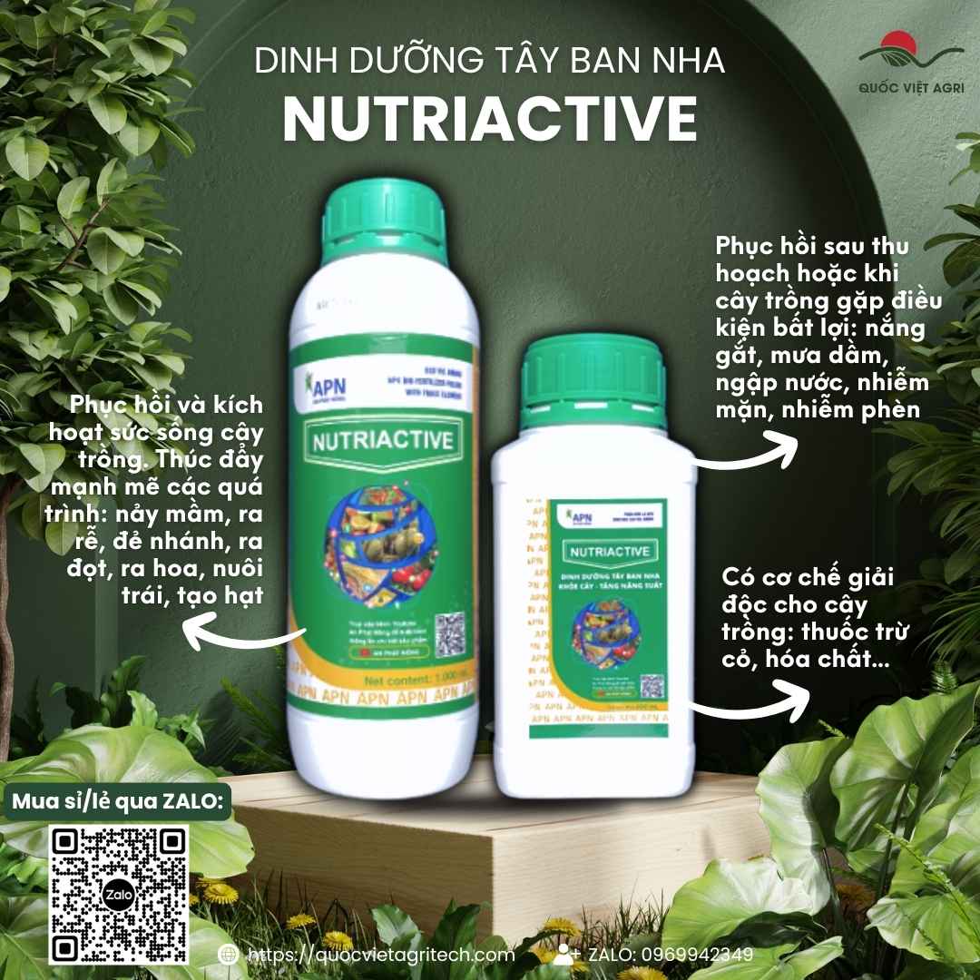 Mặt trước chai phân bón sinh học Nutriactive 500ml, chuyên dùng để phục hồi cây, giải độc phèn, sản phẩm công nghệ Tây Ban Nha.