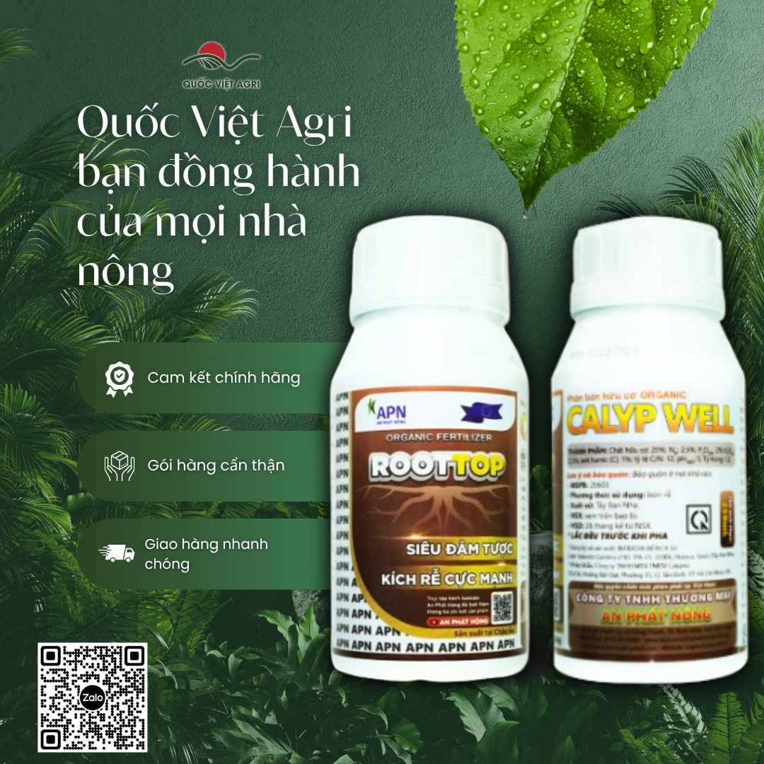Ảnh toàn diện chai phân bón hữu cơ ROOTTOP, chính hãng An Phát Nông