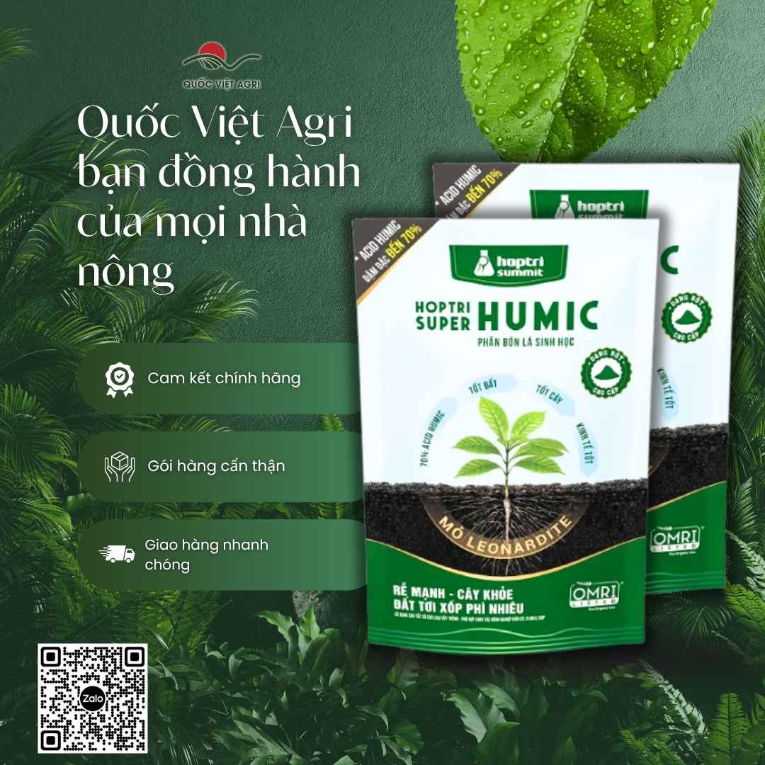 Thành phần 70% Acid Humic từ mỏ Leonardite mặt sau gói Super Humic.