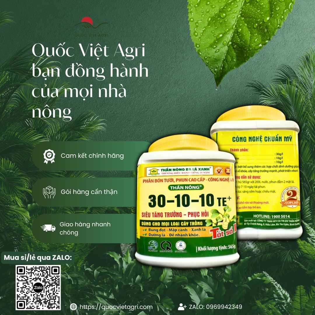 Ảnh toàn diện hủ phân bón lá NPK 30-10-10+TE Ba Lá Xanh 565g, chuyên dùng để bung đọt, xanh lá, sản phẩm chính hãng.